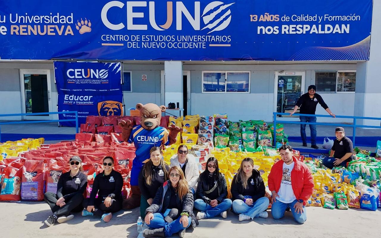 Perrito rescatado en hogar temporal